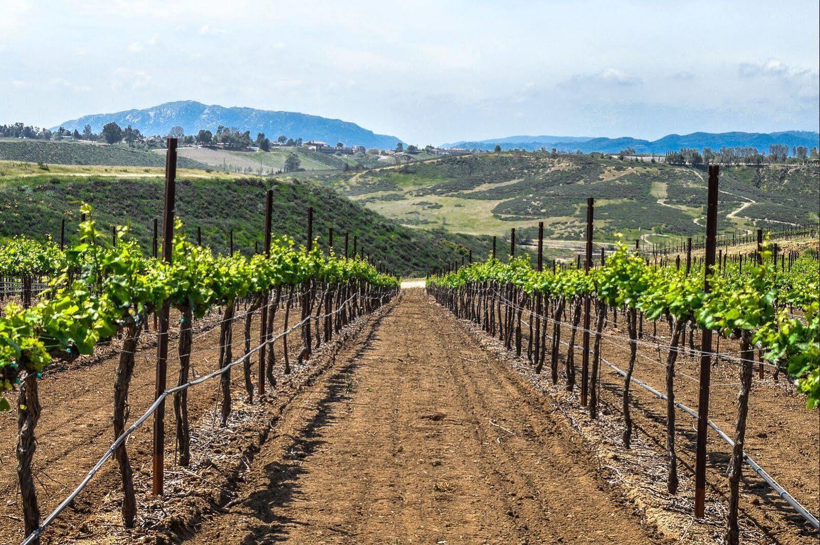 Carter Estate Winery And Resort Темекула Екстериор снимка
